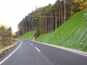 完成 起点側〈新野～川島〉